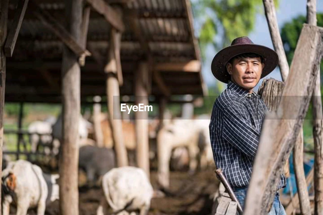 Portrait of senior man standing in farm