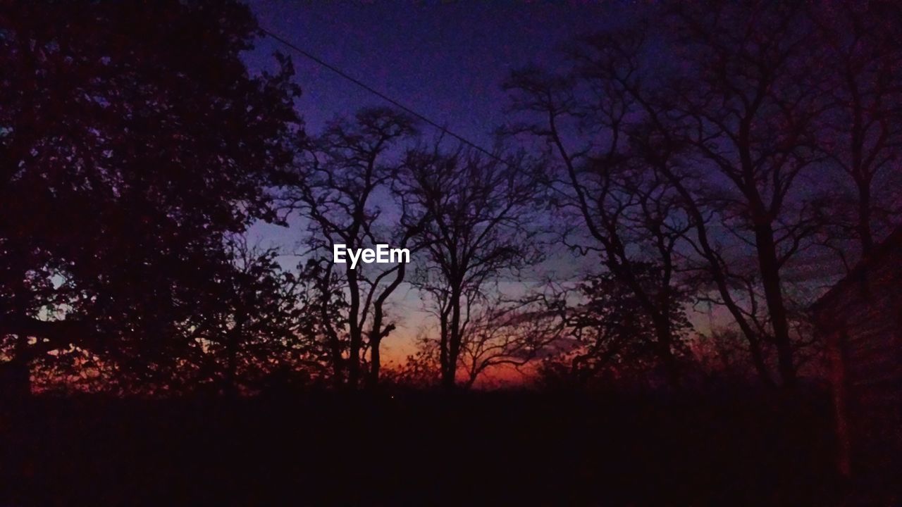 Silhouette trees on field at dusk