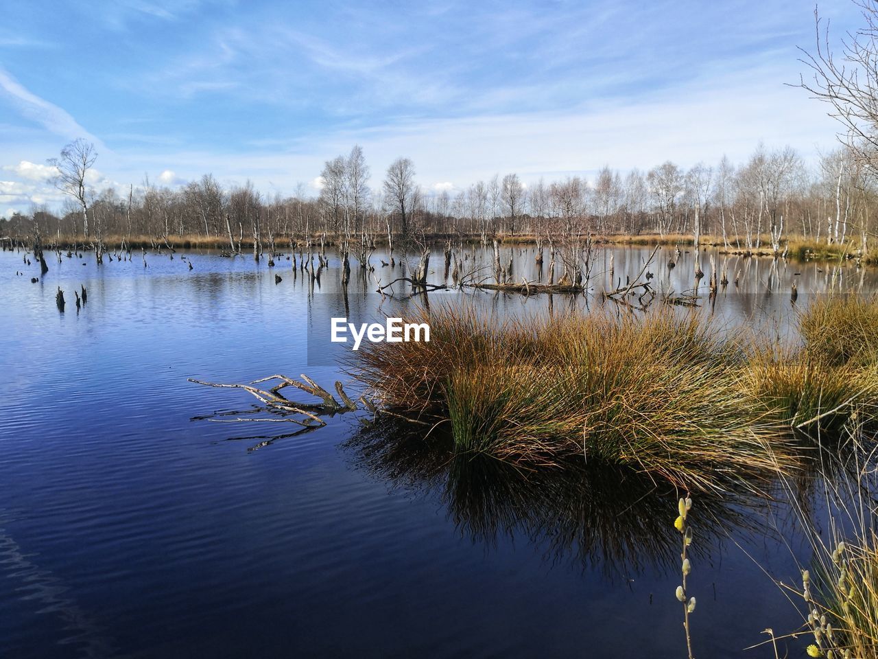 REFLECTION OF TREES IN LAKE AGAINST SKY