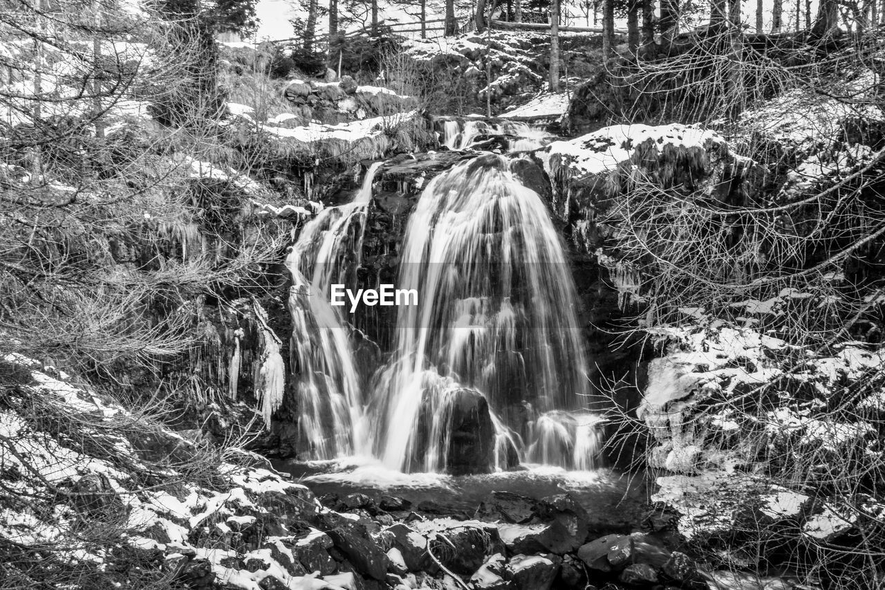 VIEW OF WATERFALL IN FOREST