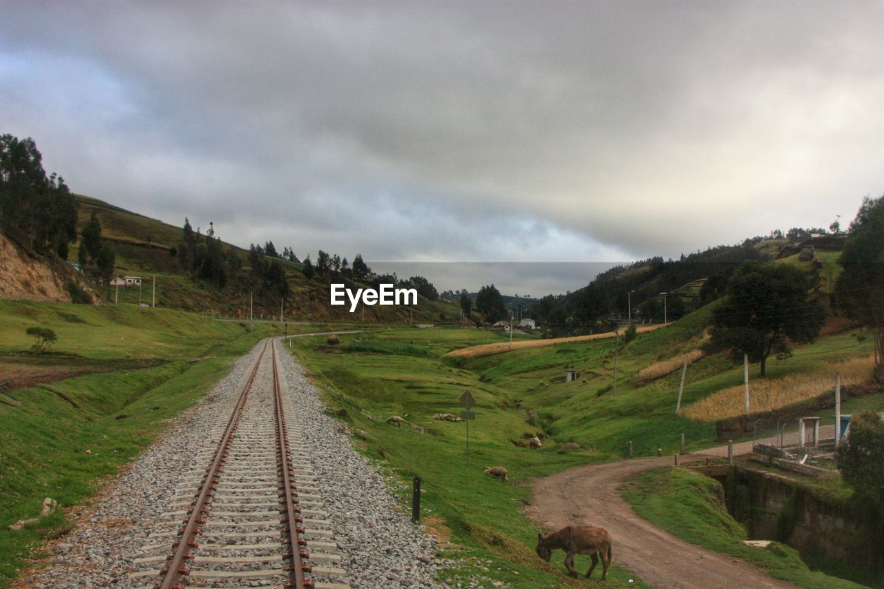 Railroad tracks on grassy landscape against cloudy sky