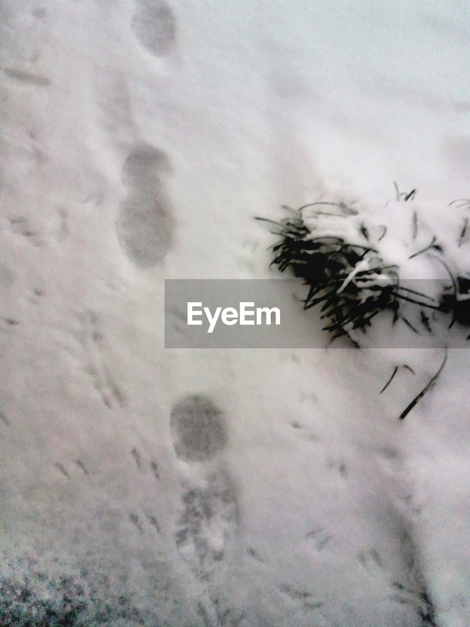 HIGH ANGLE VIEW OF SNOWFLAKES ON SNOWY DAY