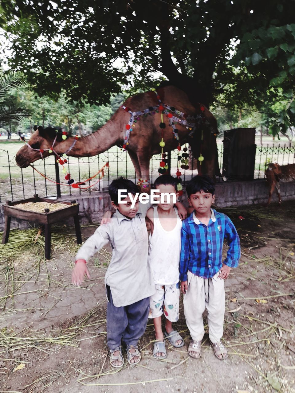 FULL LENGTH OF FRIENDS STANDING AGAINST TREE