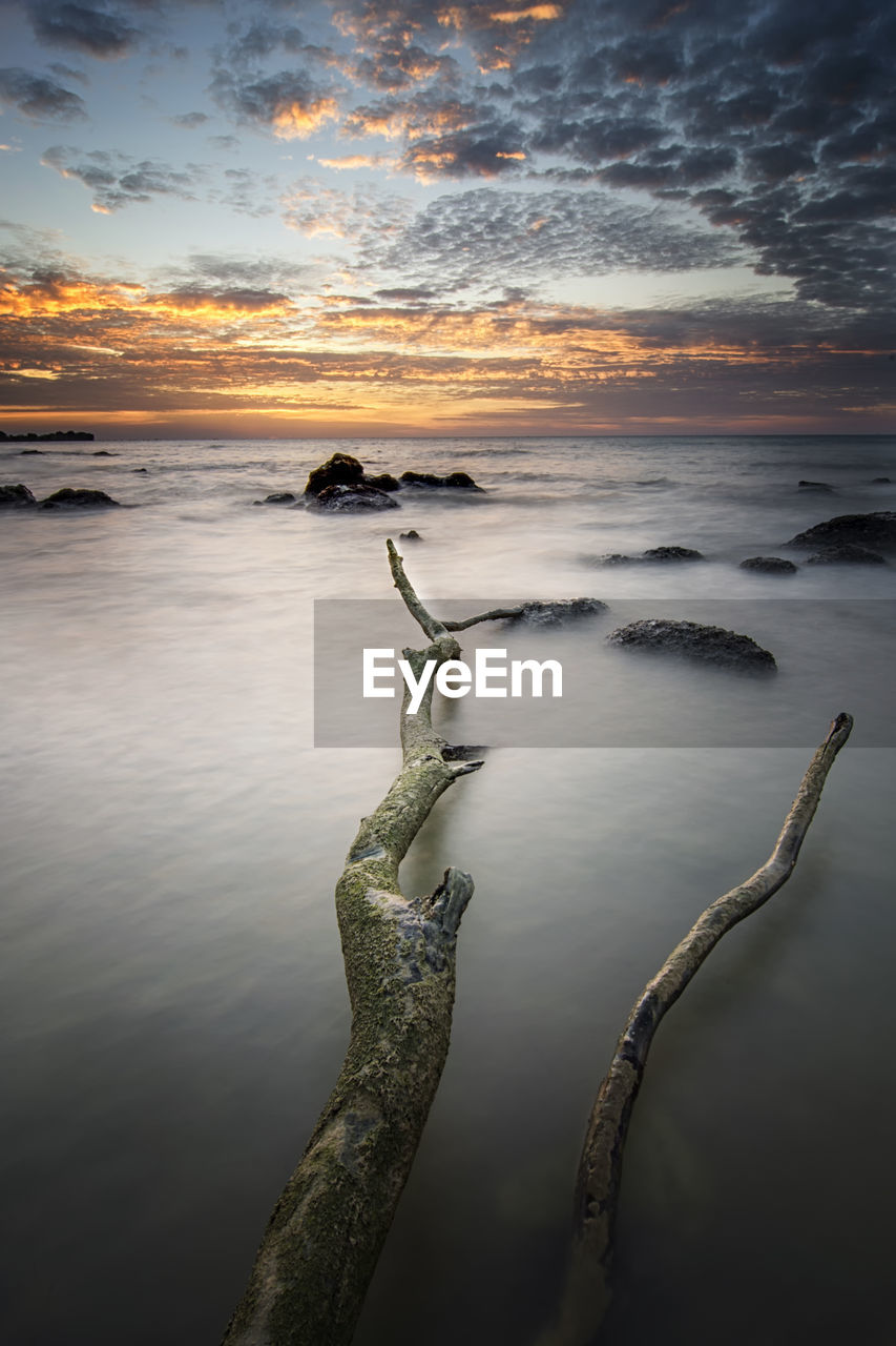 Driftwood on beach against sky during sunset