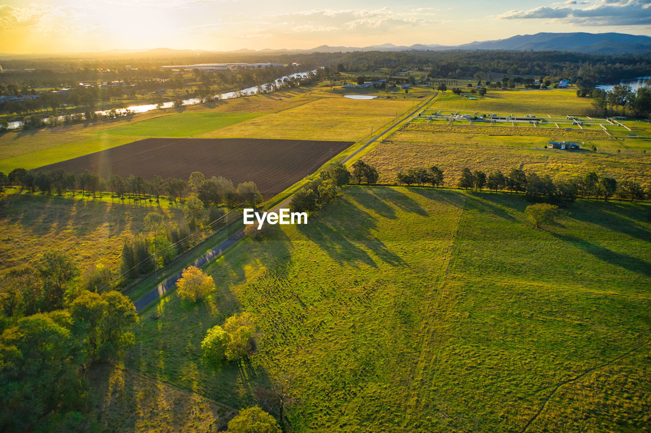 HIGH ANGLE VIEW OF FIELD