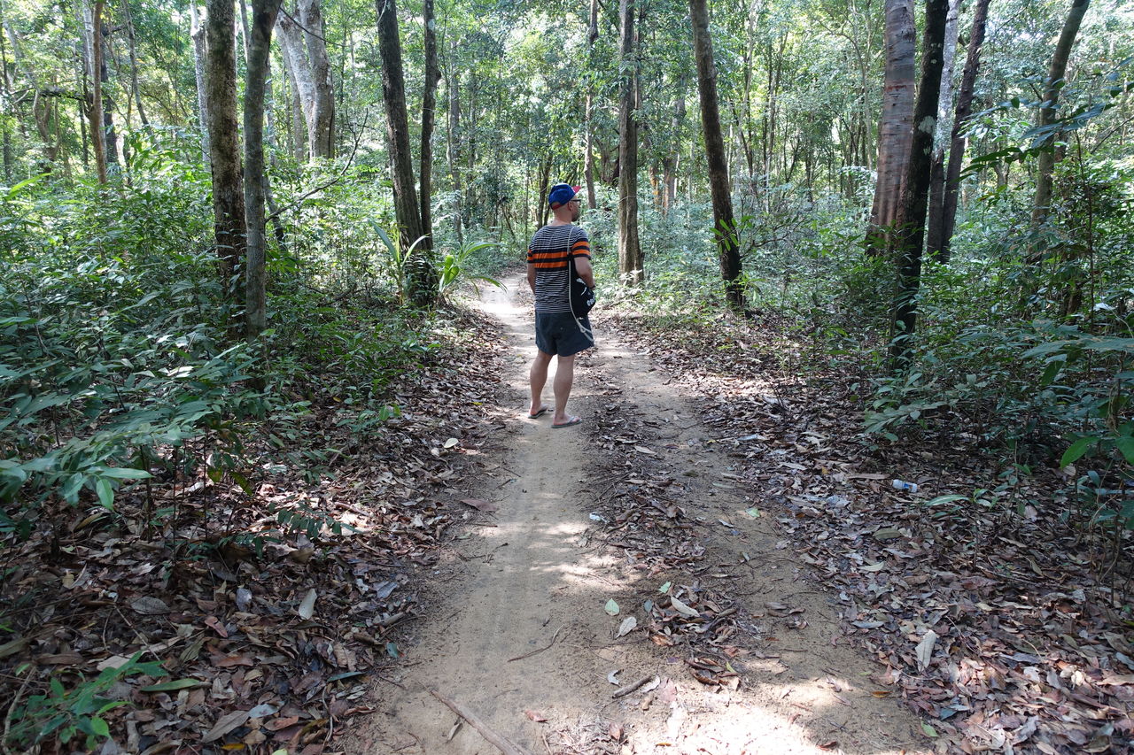 Rear view of man on dirt road in forest