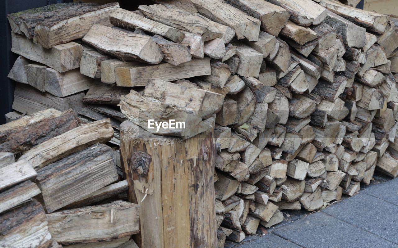 STACK OF WOOD IN FOREST