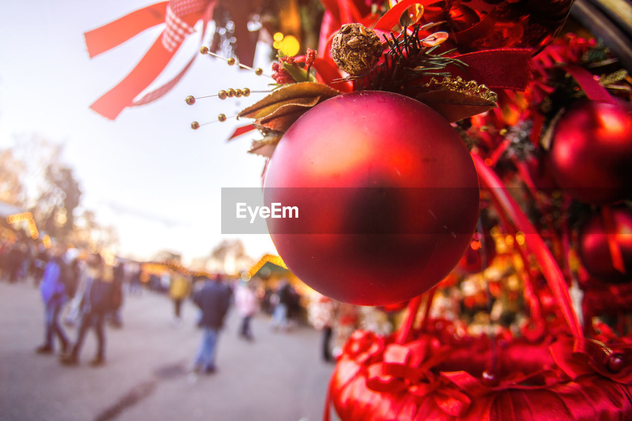 Close-up of christmas tree in city