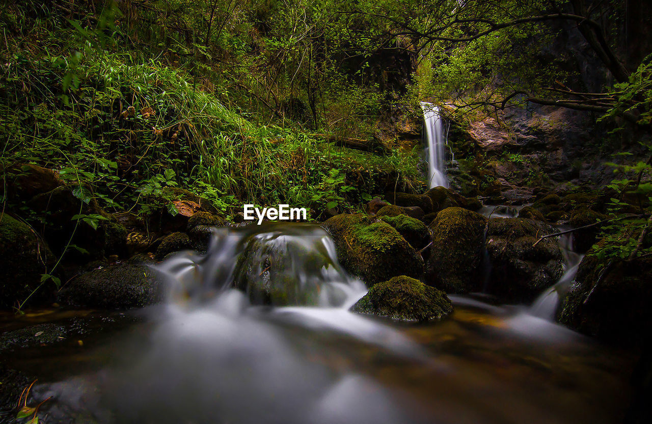 Waterfall in forest