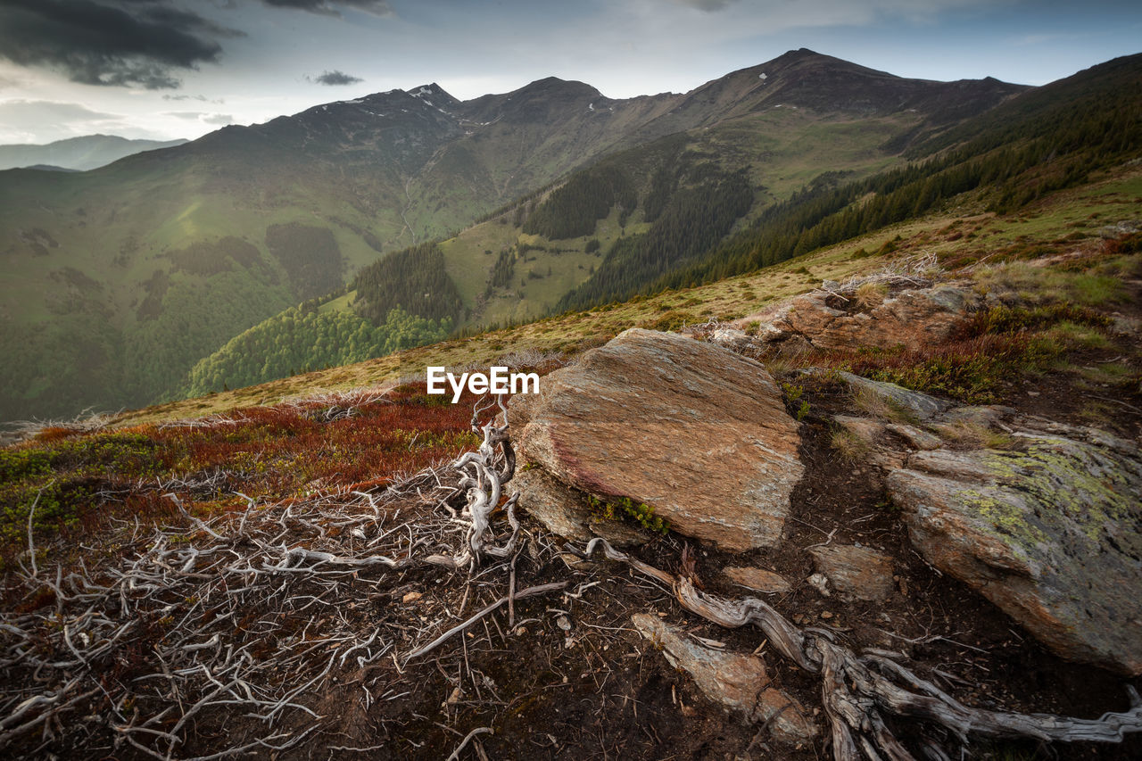 Scenic view of land and mountains against sky in rodnei mountains 