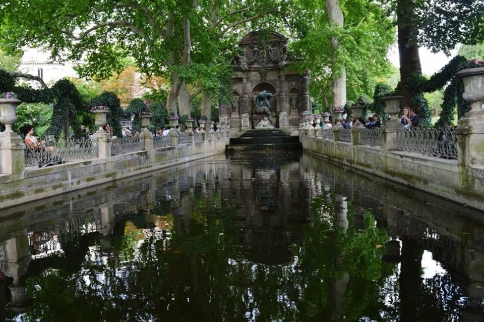 REFLECTION OF TREES ON WATER