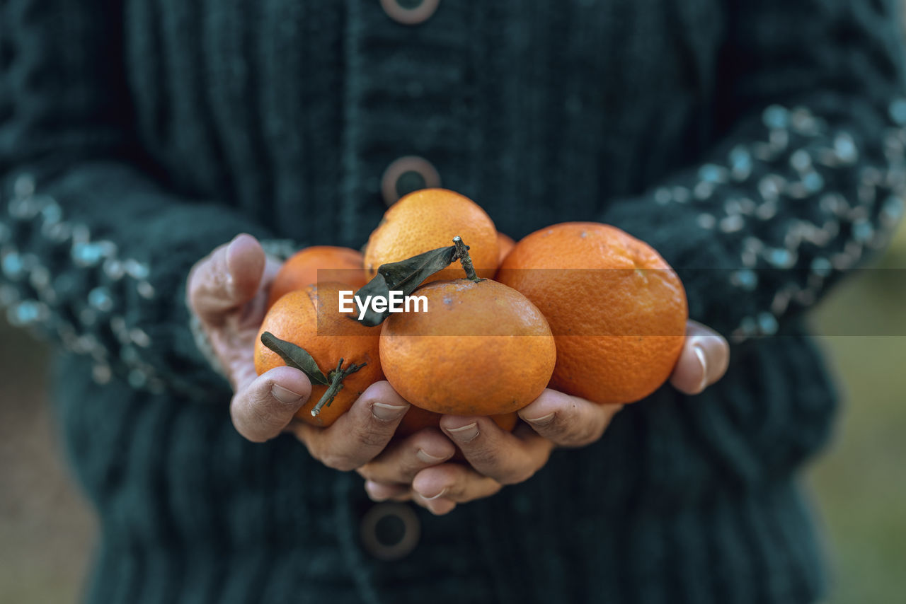 Hands of woman holding fresh oranges