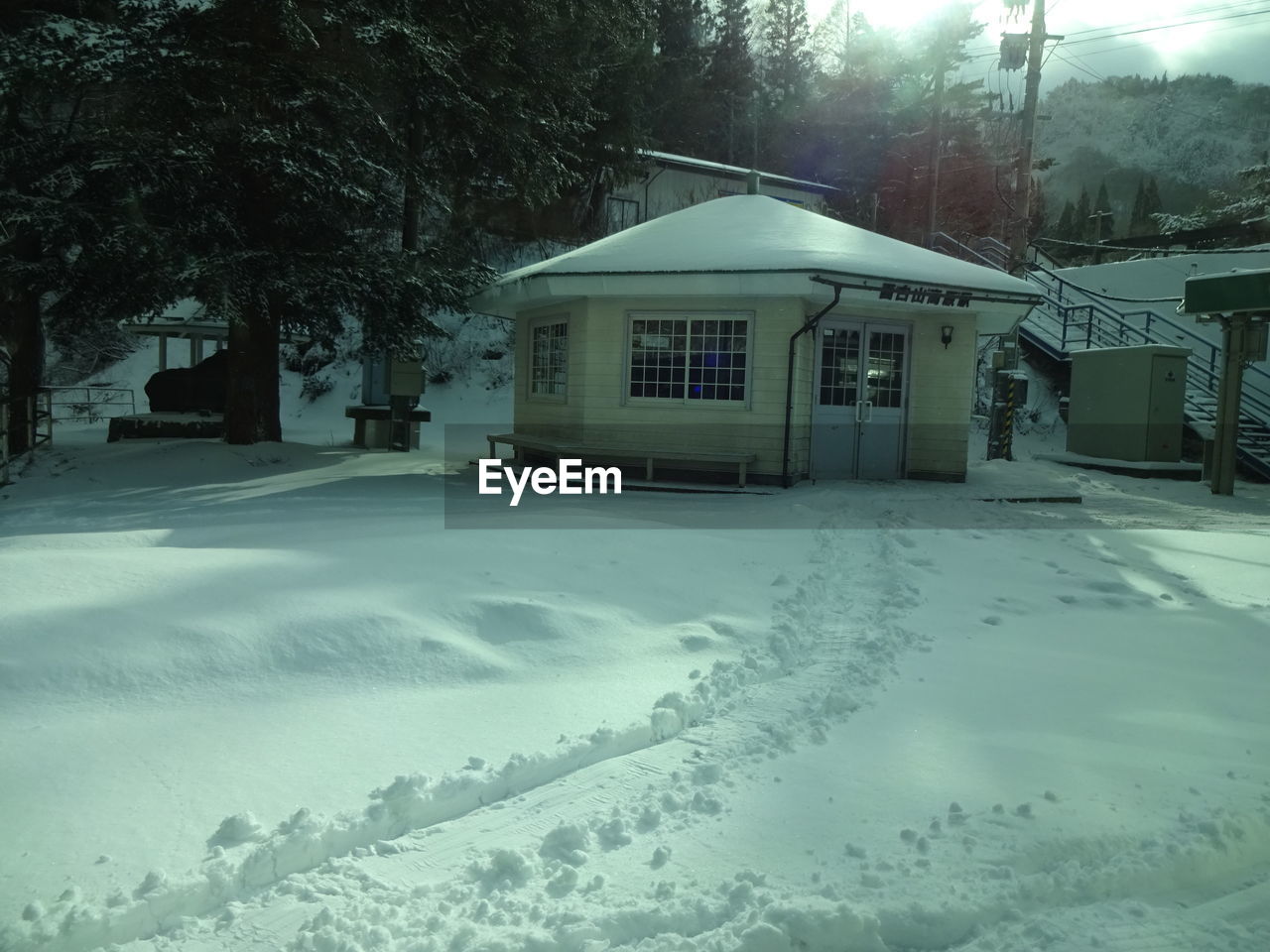 SNOW COVERED HOUSES BY TREES AND BUILDING