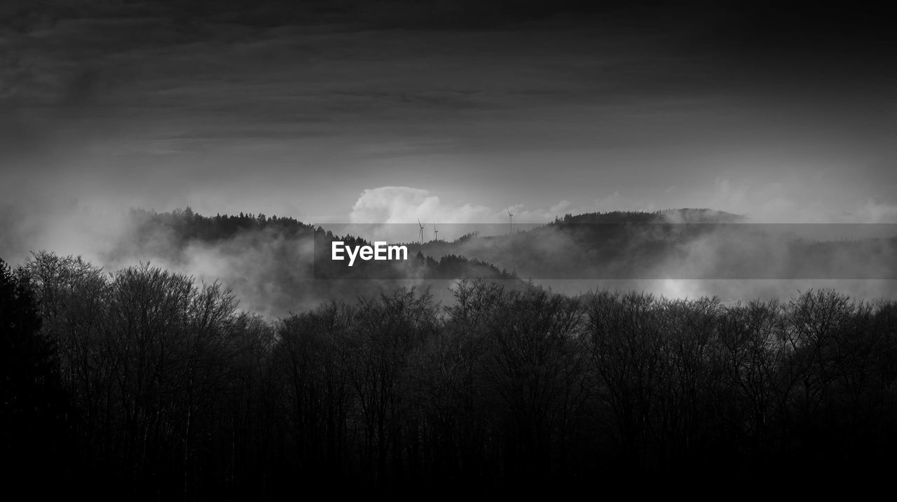 Panoramic shot of silhouette trees against sky