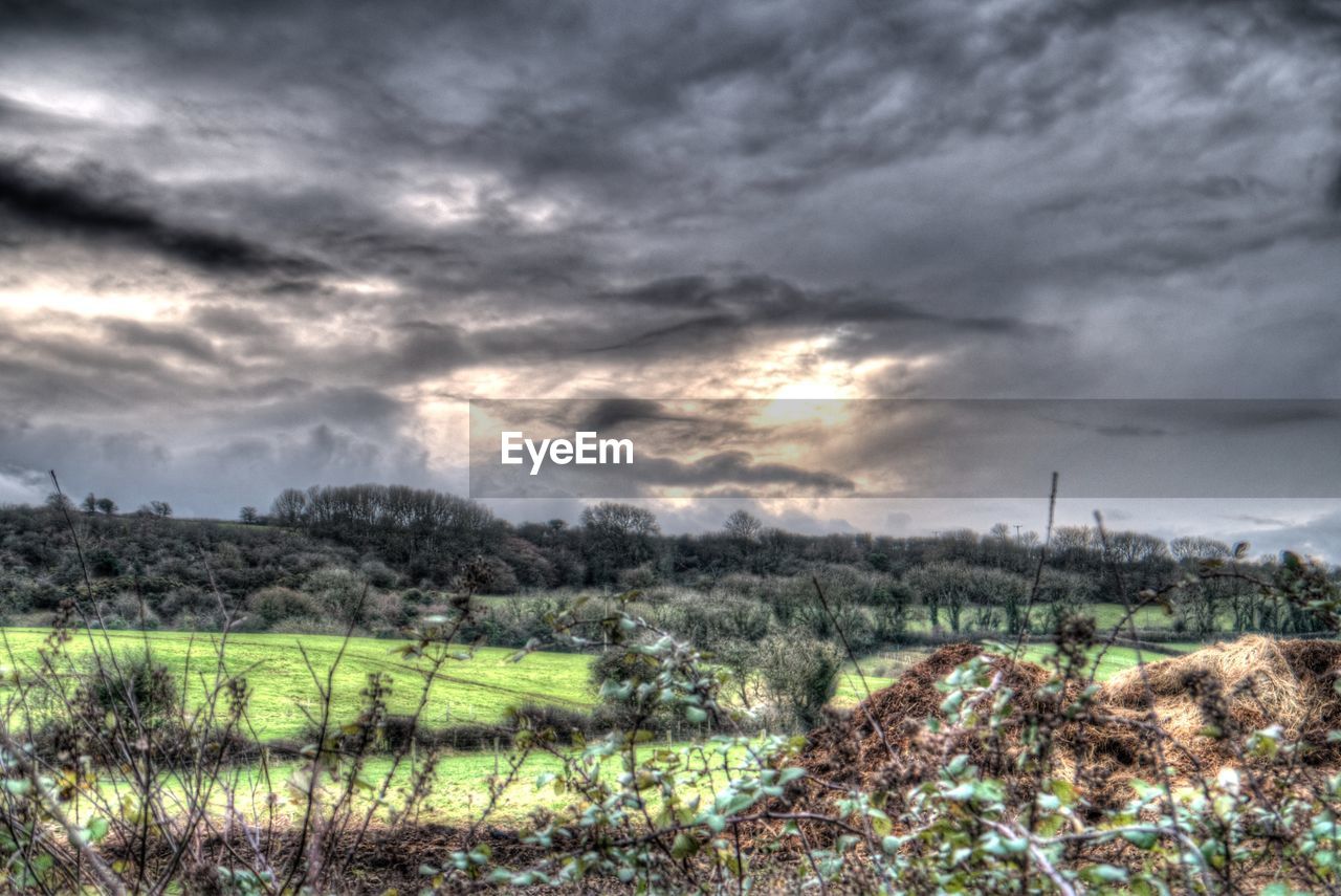 SCENIC VIEW OF GRASSY FIELD AGAINST CLOUDY SKY