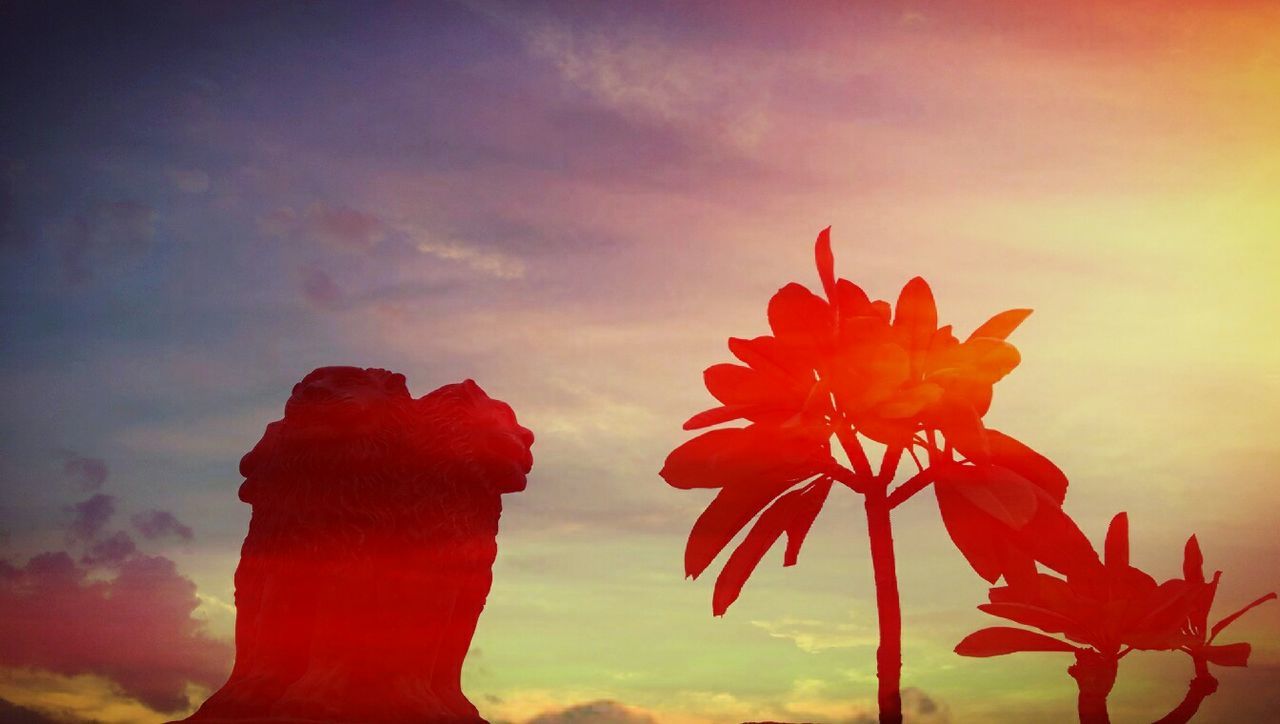 Low angle view of flowers blooming by statue against sky during sunset