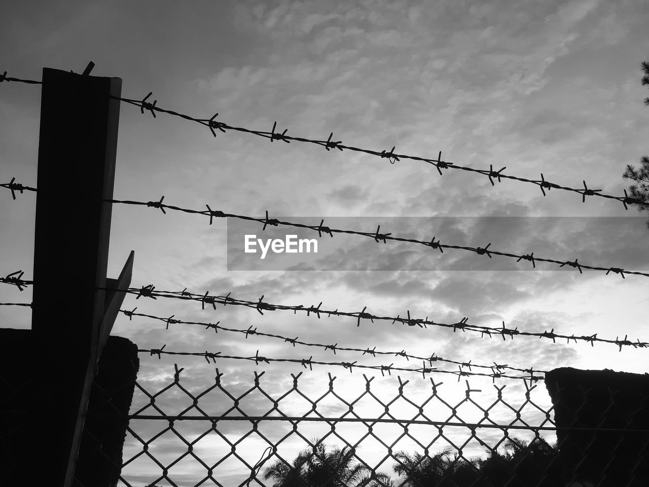 fence, protection, security, barbed wire, wire, chainlink fence, sky, wire fencing, metal, black, cloud, monochrome, line, forbidden, architecture, razor wire, no people, black and white, nature, home fencing, warning sign, sign, monochrome photography, punishment, light, prison, sharp, communication, outdoor structure, outdoors, silhouette, built structure, electricity, building, day, low angle view, security system, wire mesh