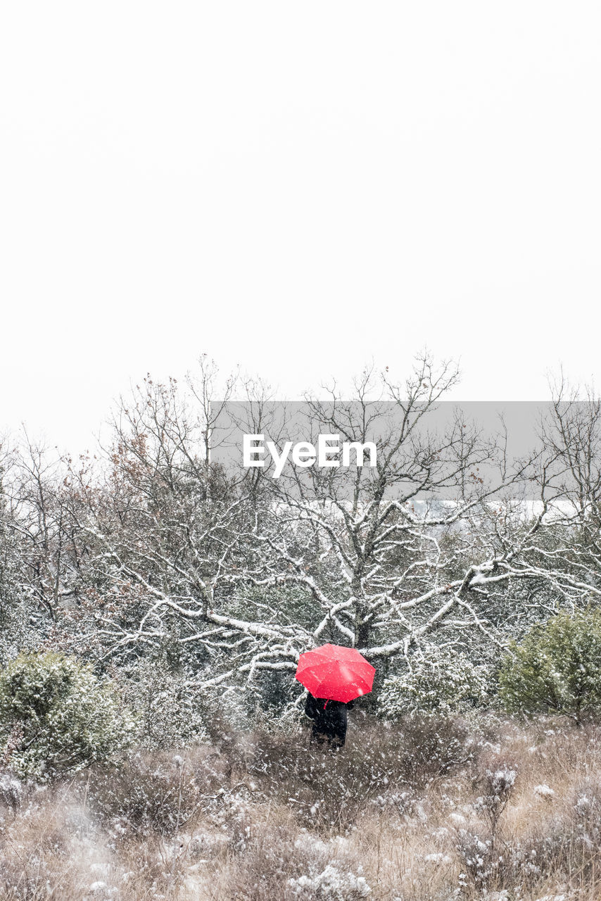 RED UMBRELLA ON SNOW COVERED LAND