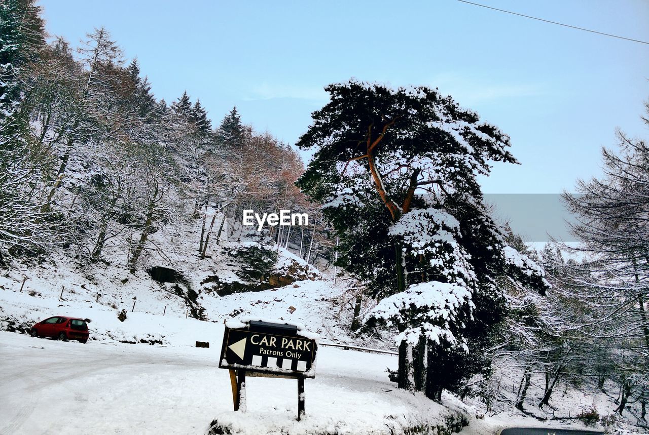 SNOW COVERED TREES IN WINTER