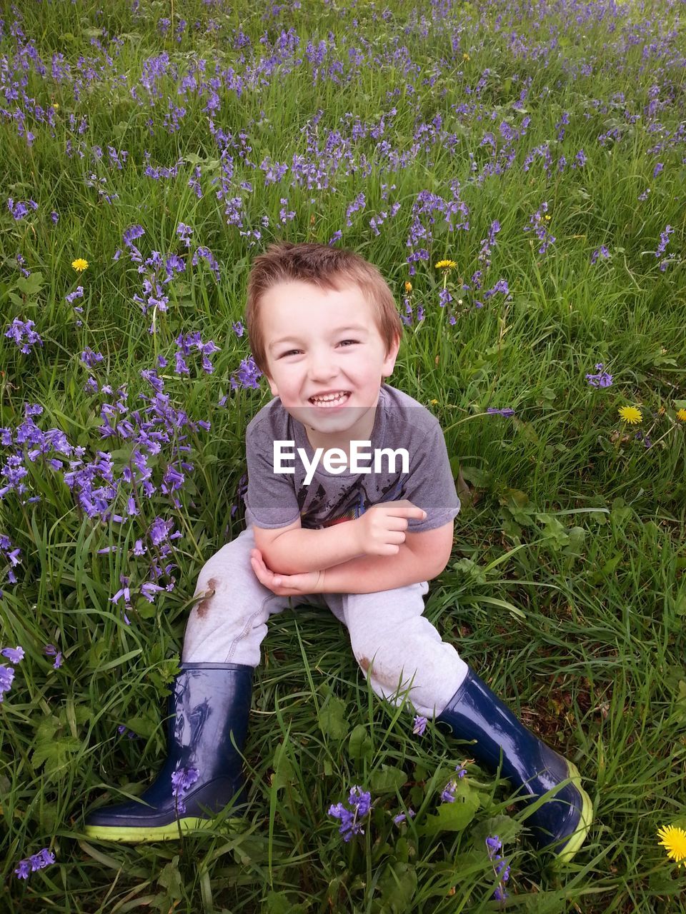 Portrait of boy sitting on grassy field