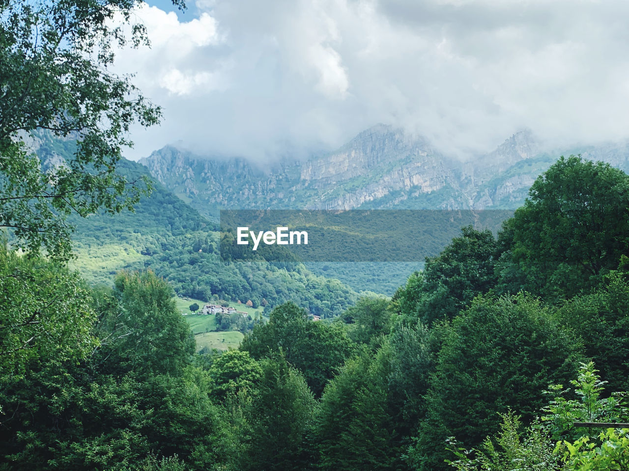 plant, forest, tree, nature, mountain, environment, scenics - nature, beauty in nature, landscape, cloud, land, green, sky, rainforest, natural environment, wilderness, mountain range, tranquility, growth, foliage, lush foliage, no people, valley, jungle, fog, tranquil scene, pinaceae, coniferous tree, pine tree, outdoors, day, travel, non-urban scene, hill station, vegetation, travel destinations, pine woodland, social issues, rural scene, ridge, idyllic, tourism