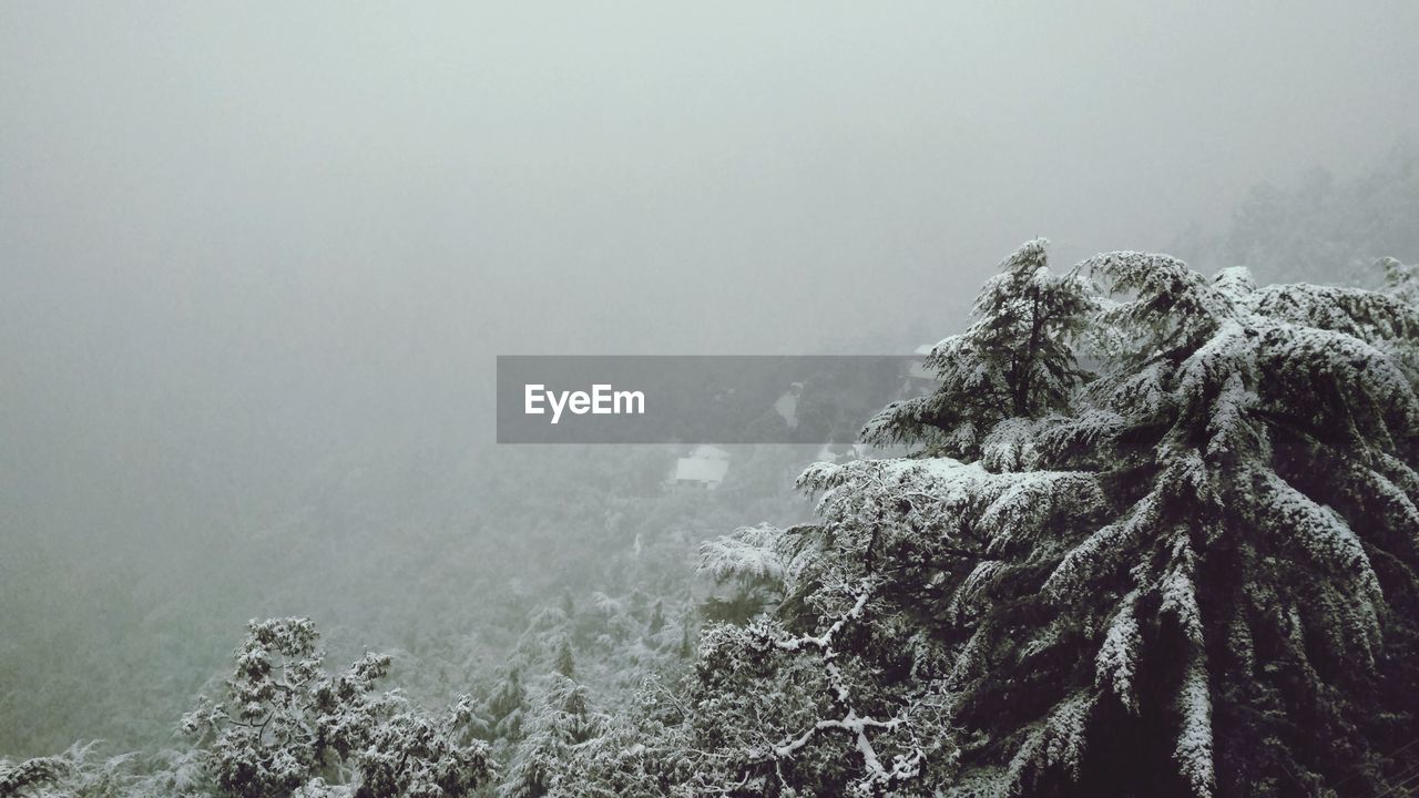 Scenic view of snow covered land