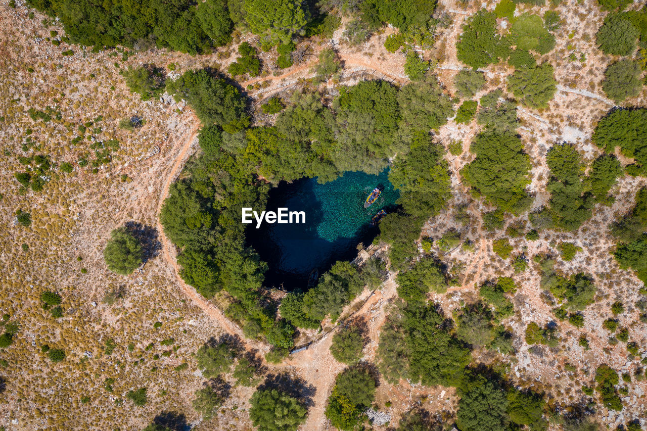 HIGH ANGLE VIEW OF LIZARD ON LANDSCAPE