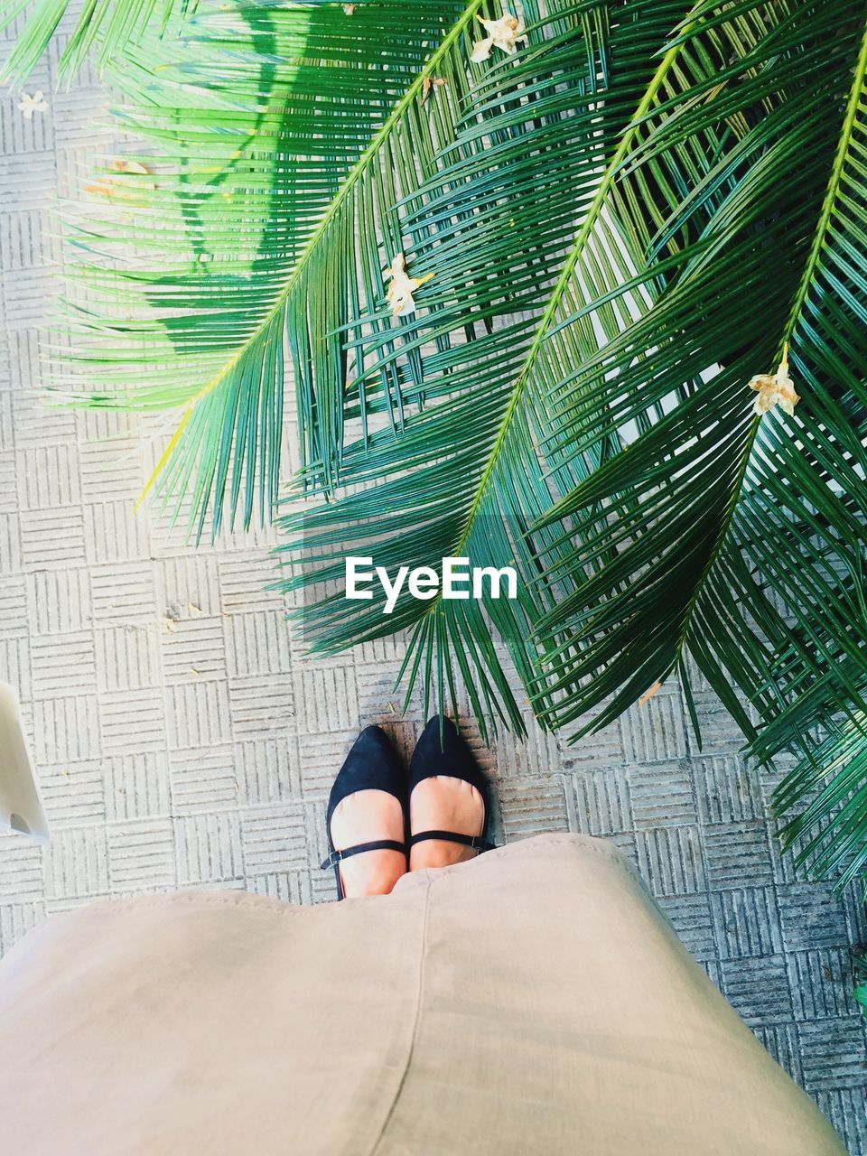 Low section of woman standing by plants