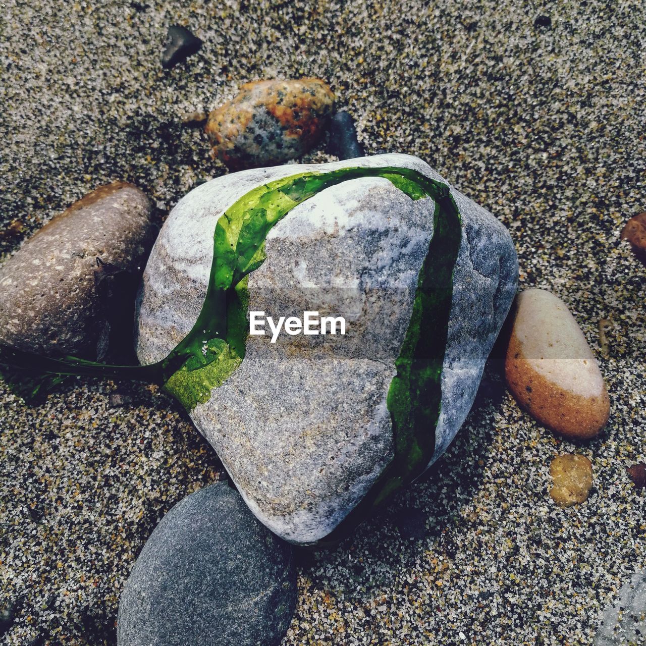 HIGH ANGLE VIEW OF PEBBLE ON BEACH