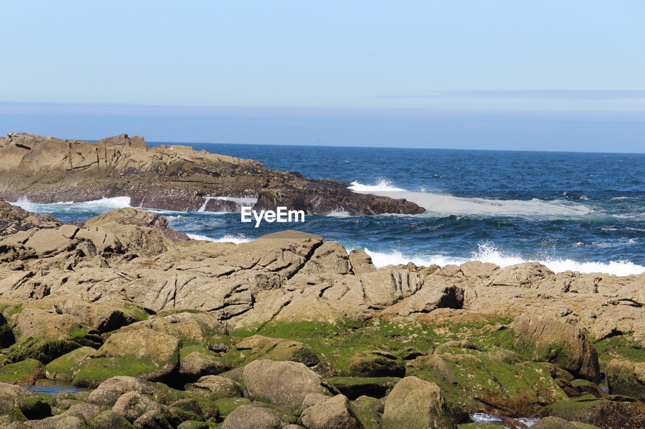 SCENIC VIEW OF ROCKY BEACH AGAINST CLEAR SKY