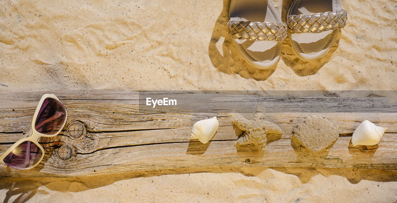 High angle view of shells on table and elements at the beach. summer background. 