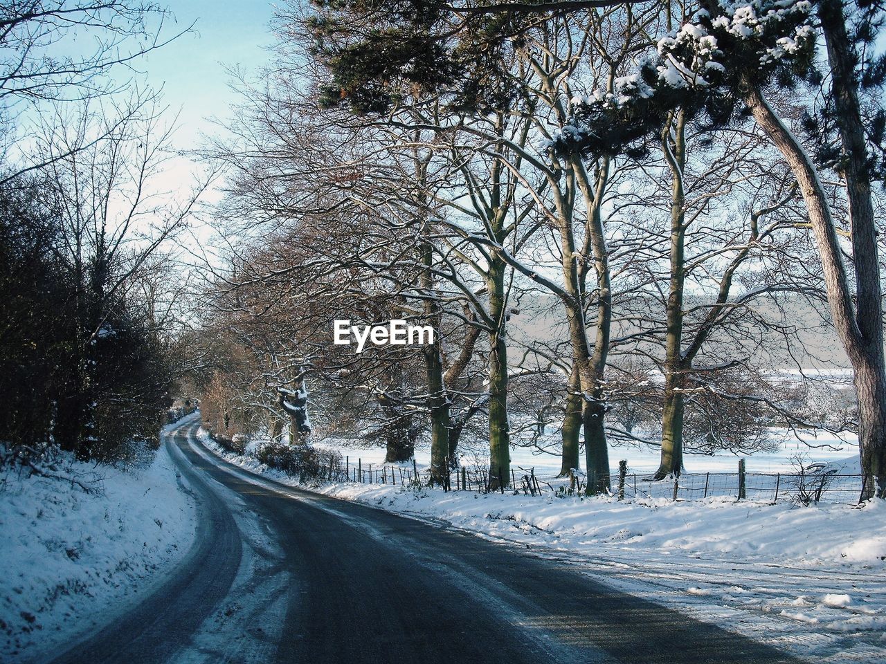 Road amidst snow covered trees in city