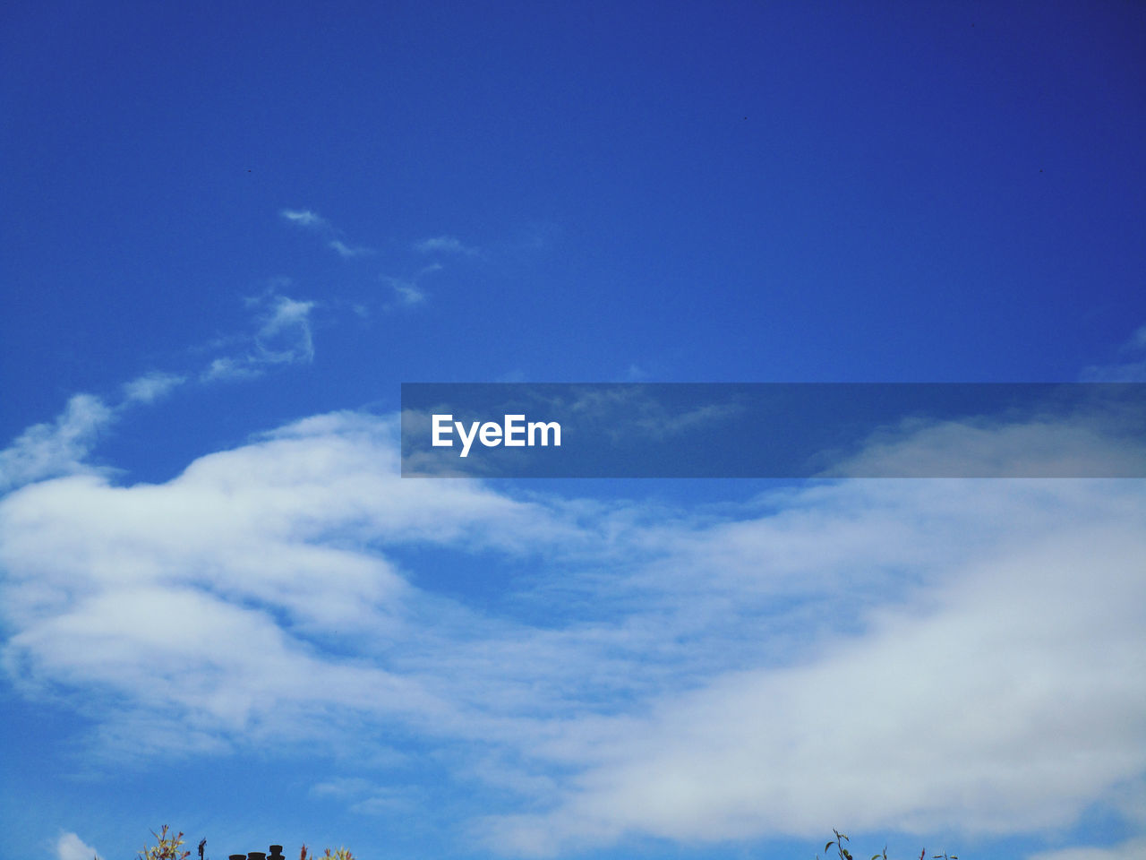 sky, cloud, blue, horizon, nature, tree, beauty in nature, scenics - nature, dusk, no people, plant, sunlight, low angle view, tranquility, environment, tranquil scene, day, outdoors, copy space, cloudscape, morning, idyllic, landscape