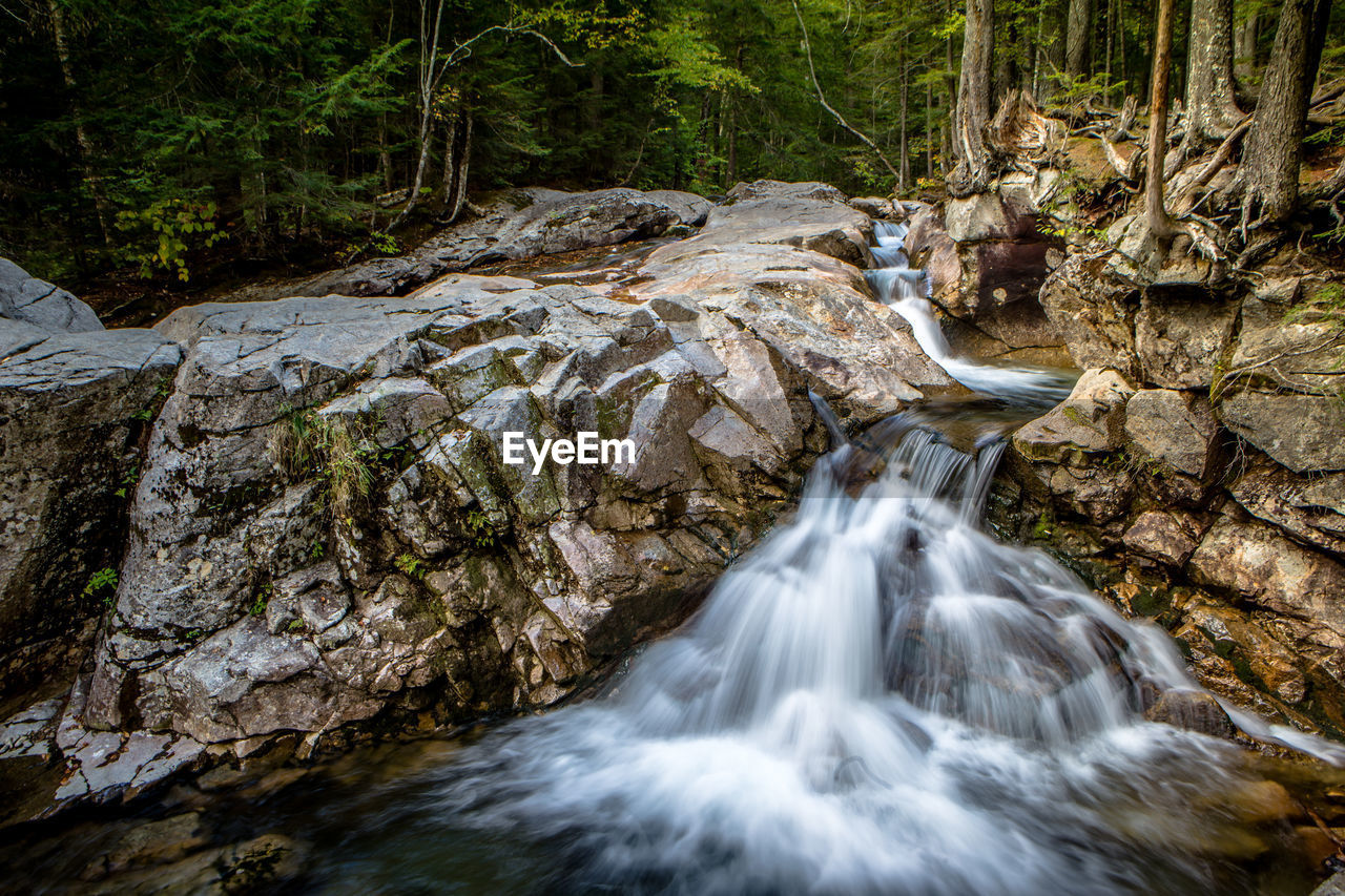 View of waterfall in forest