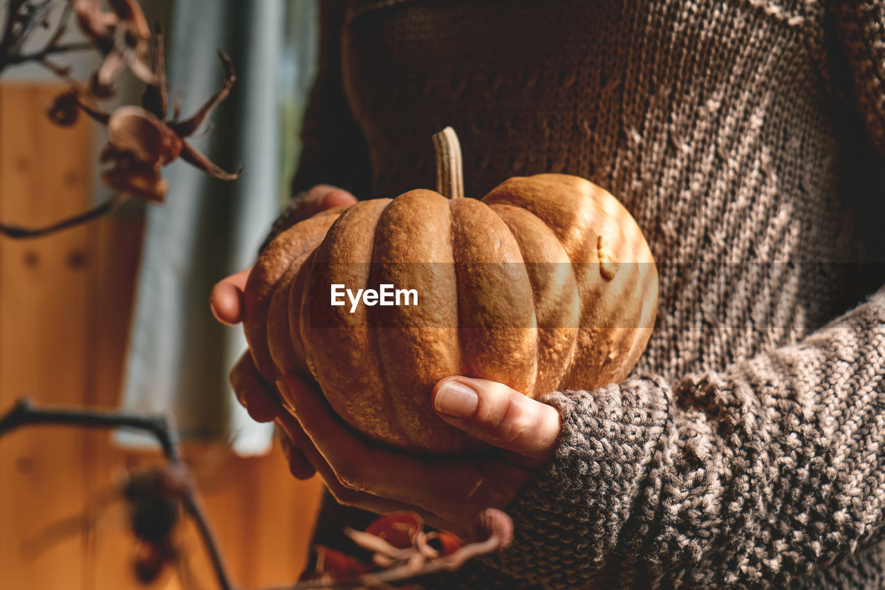 Female in knitted brown woolen sweater holding orange pumpkin. cozy autumn vibes. fall mood.