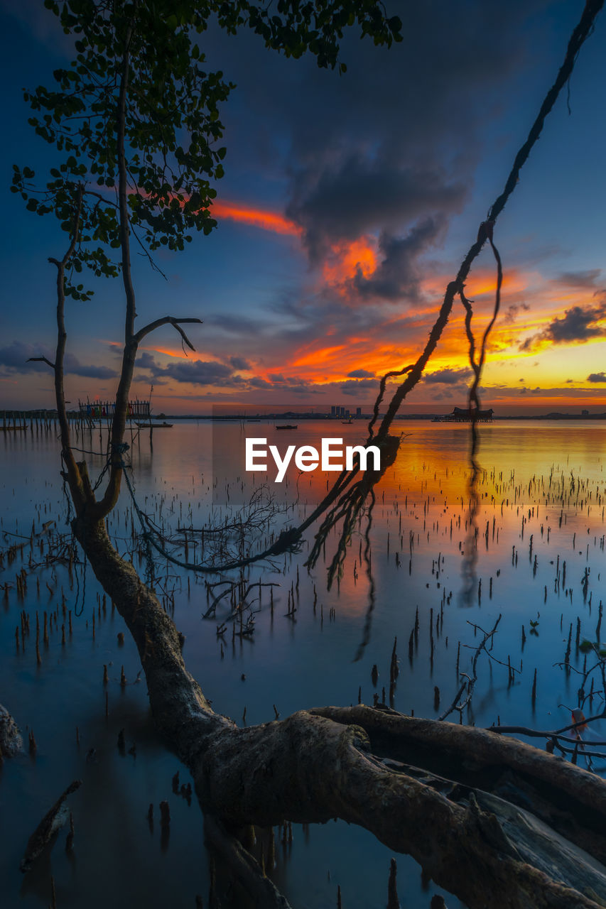 SILHOUETTE TREES BY LAKE AGAINST ROMANTIC SKY AT SUNSET