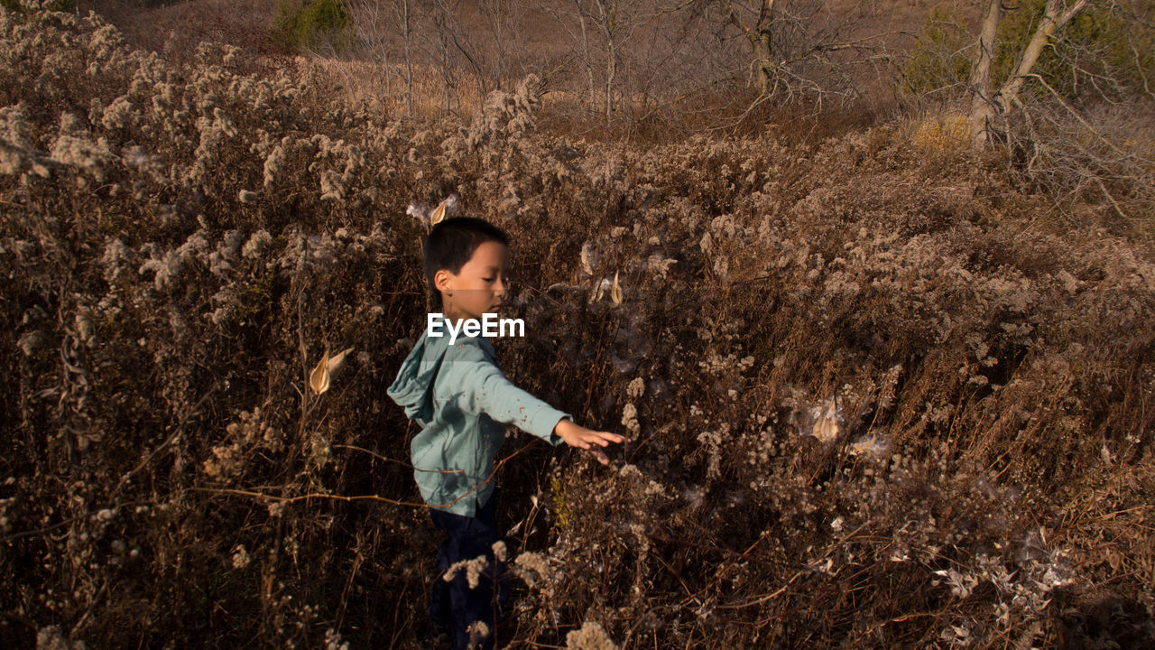 Portrait view of a boy in fall feild