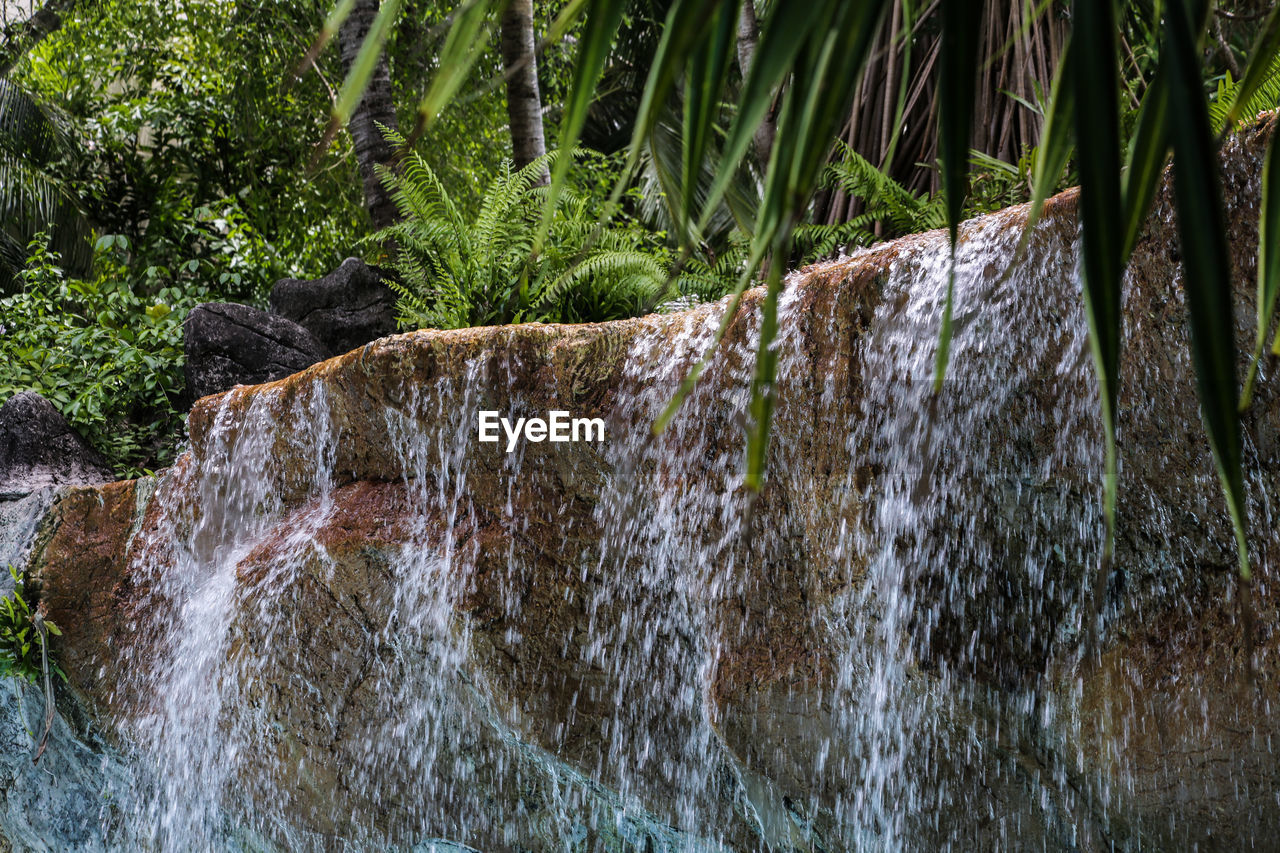 CLOSE-UP OF WATER FLOWING IN FOREST