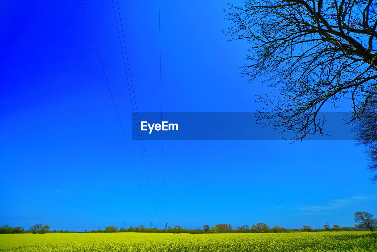 LOW ANGLE VIEW OF FARM AGAINST CLEAR BLUE SKY