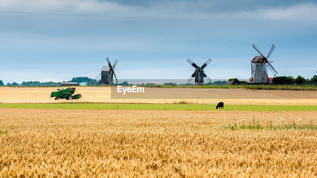 Rural landscape with traditional windmills