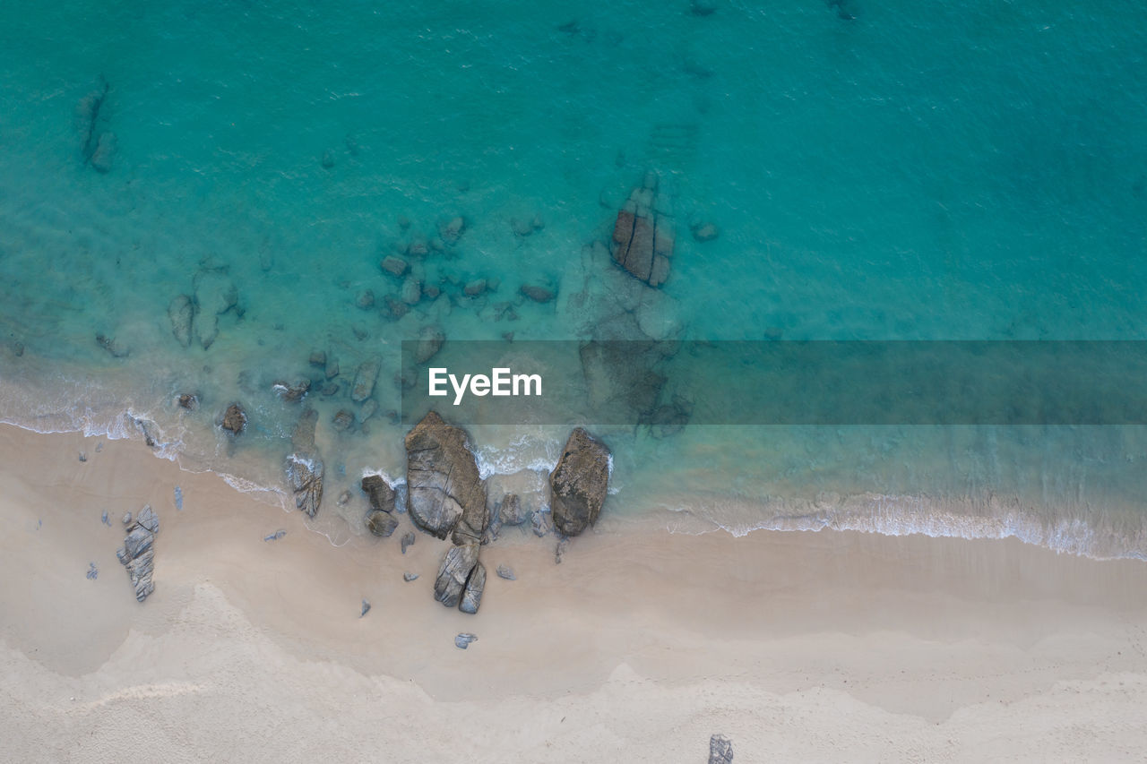 HIGH ANGLE VIEW OF FISHES SWIMMING ON BEACH