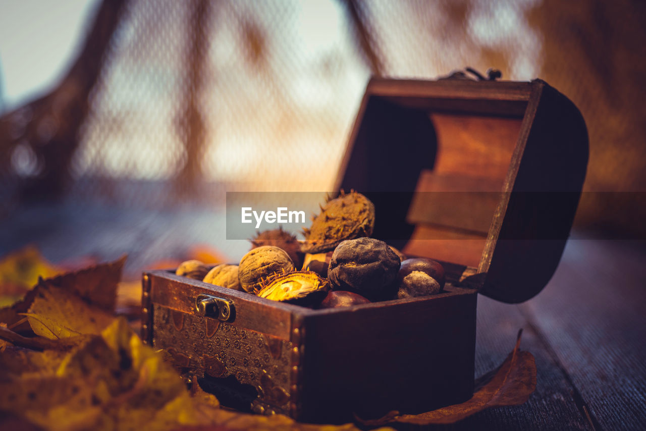 Close-up of dried fruits in box by autumn leaves