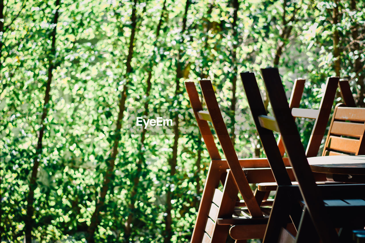 Empty chairs and tables in park