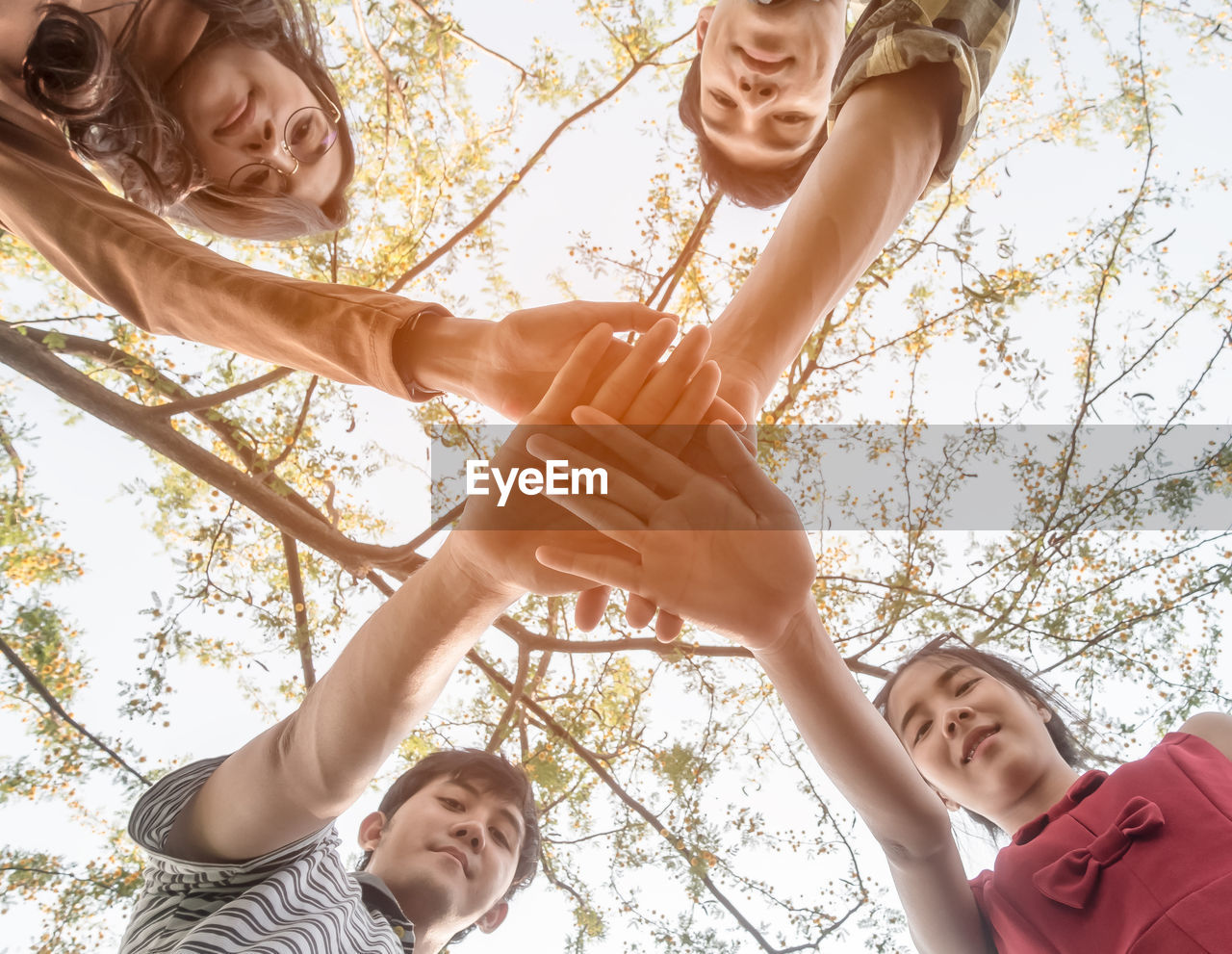 Low angle view of friends stacking hands against trees