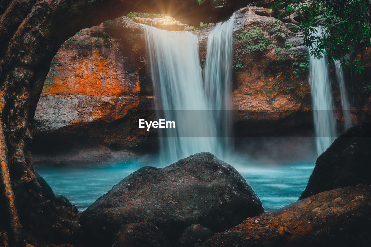 Scenic view of waterfall in forest