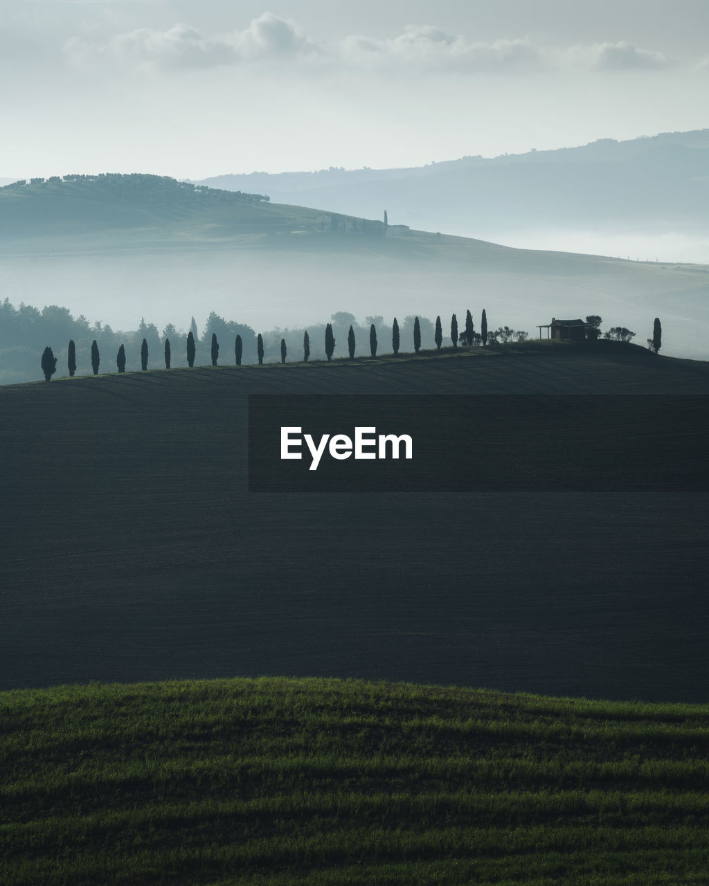 Misty sunrise in val d'orcia