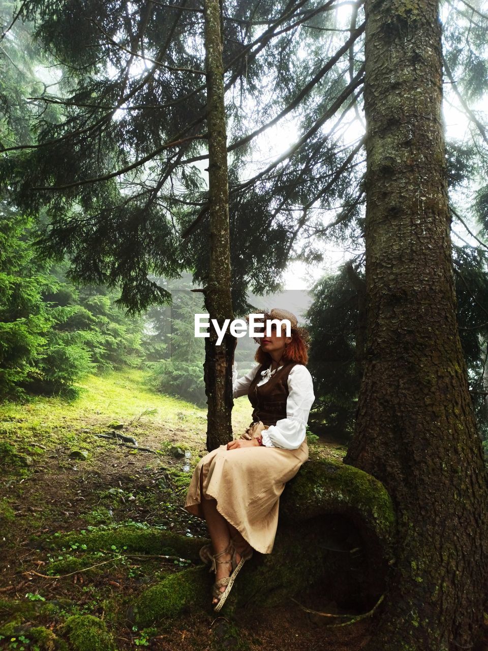 VIEW OF A HORSE ON TREE TRUNK