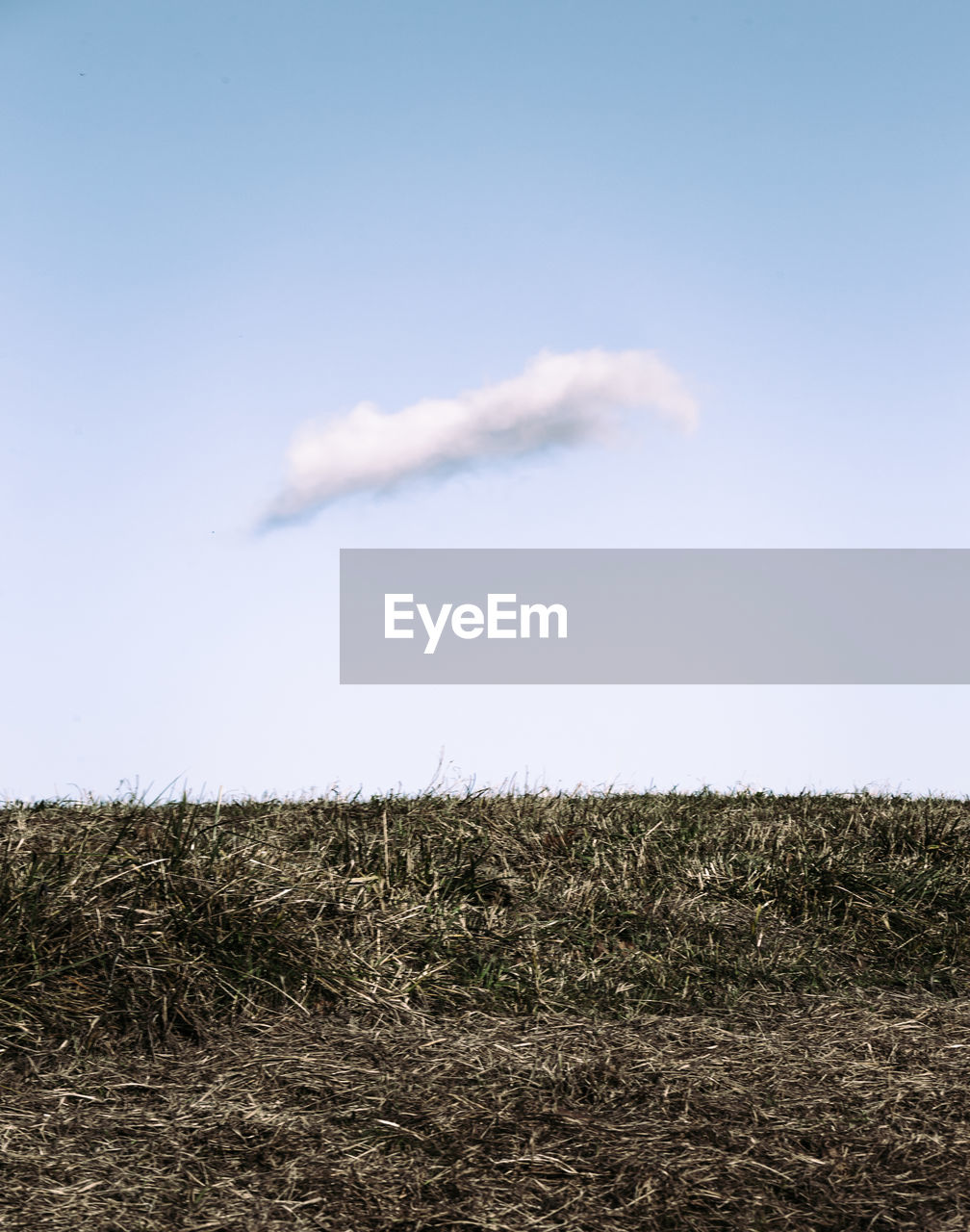 Scenic view of field against clear sky