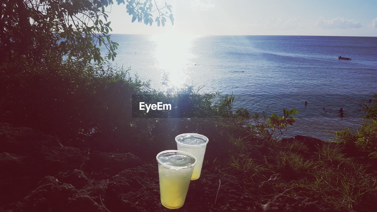 Close-up of drinks against sea and trees