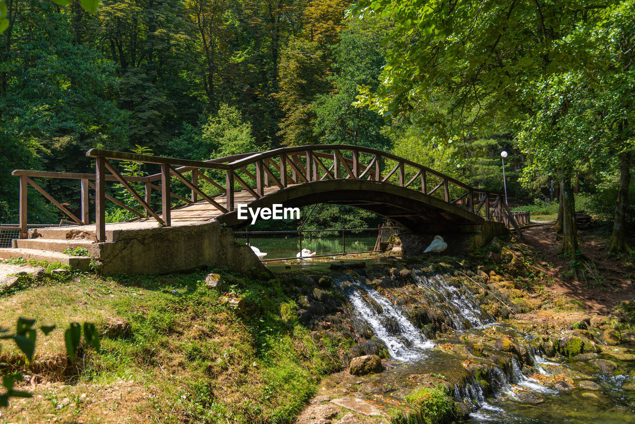 Vrelo bosne nature green park in sarajevo with water and ducks